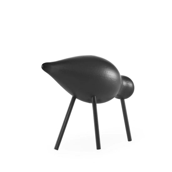 shorebird-mediano-negro