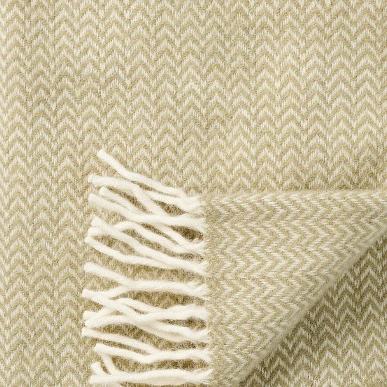chevron-verde