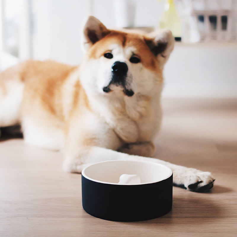 plato-para-comida-de-mascotas-grande-negro
