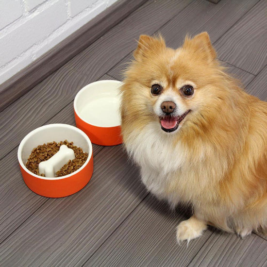plato-para-agua-de-mascotas-mediano-naranja