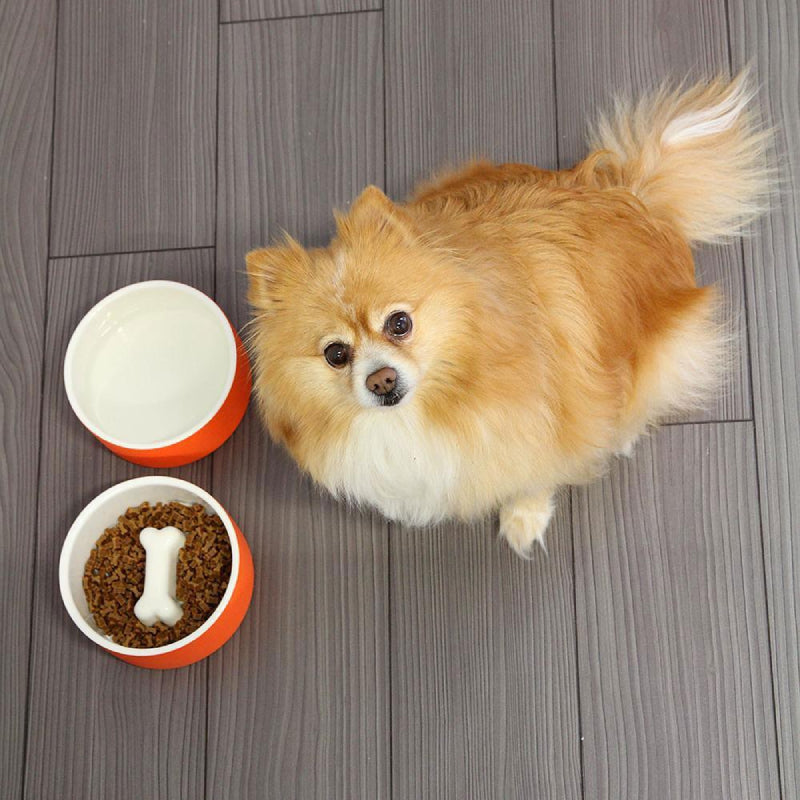 plato-para-agua-de-mascotas-mediano-naranja