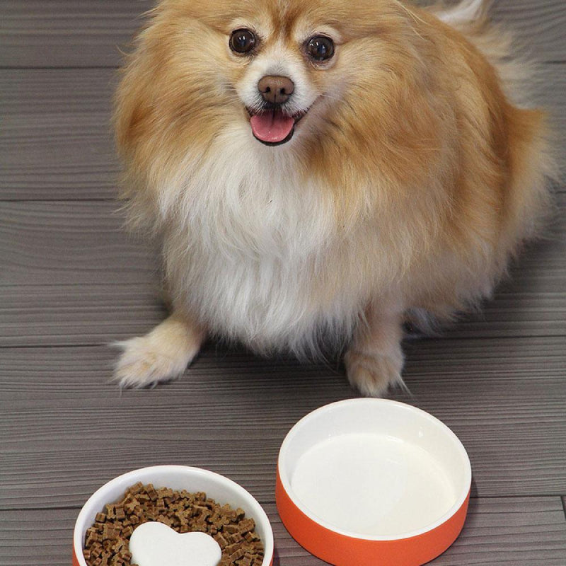 plato-para-agua-de-mascotas-pequeno-naranja