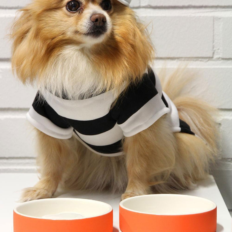 plato-para-agua-de-mascotas-pequeno-naranja