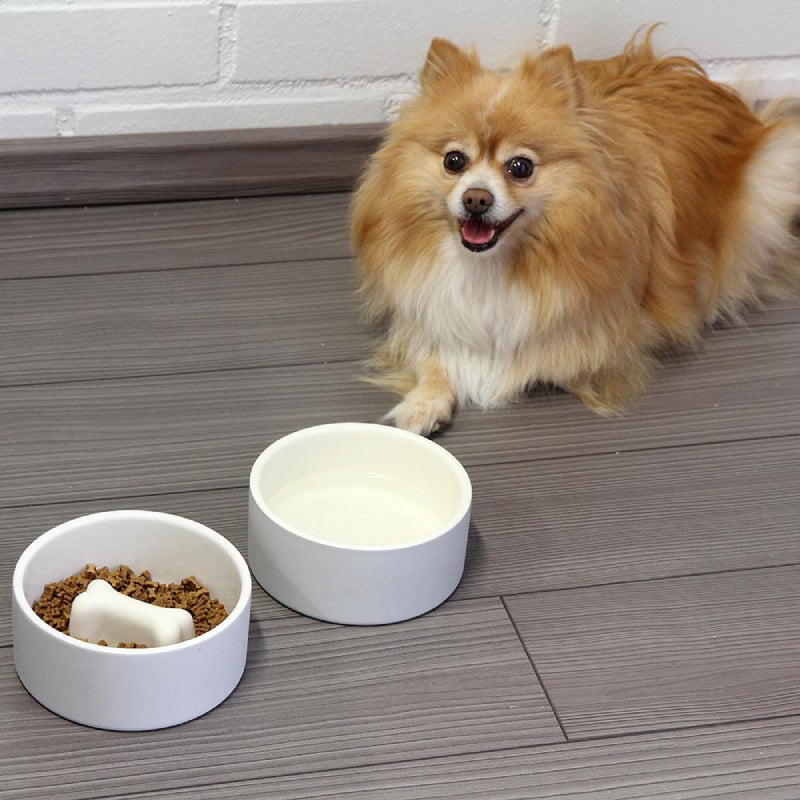 plato-para-comida-de-mascotas-mediano-concreto