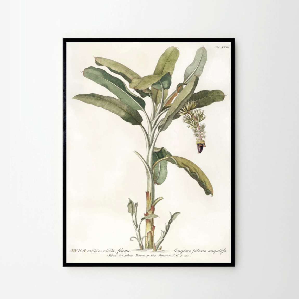 cuadro-textil-banana-palm-48-x-64-cm