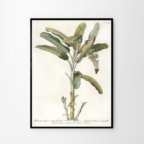cuadro-textil-banana-palm-48-x-64-cm