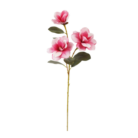 magnolia-rosada-80cms