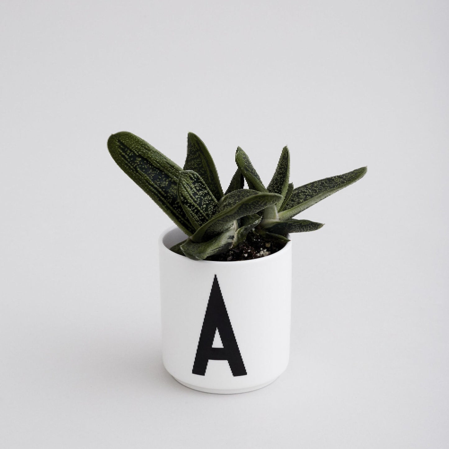 white-porcelain-taza-de-porcelana-con-letra-individual-de-la-a-a-la-z