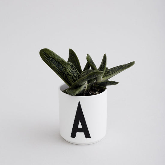 white-porcelain-taza-de-porcelana-con-letra-individual-de-la-a-a-la-z