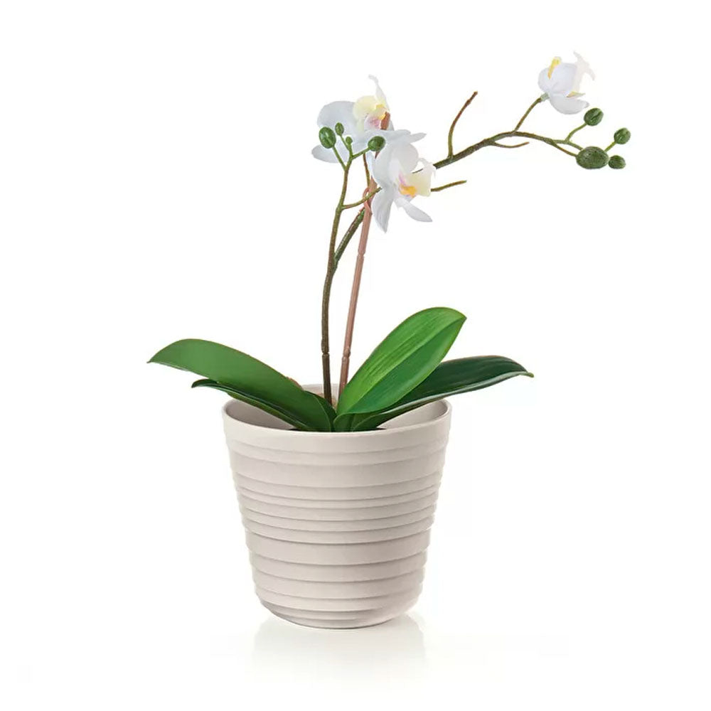 macetero-tierra-single-plant-color-arena-guzzini