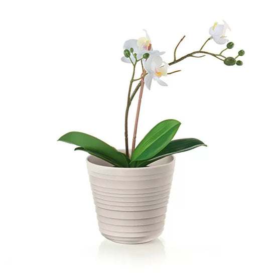 macetero-tierra-single-plant-color-arena-guzzini