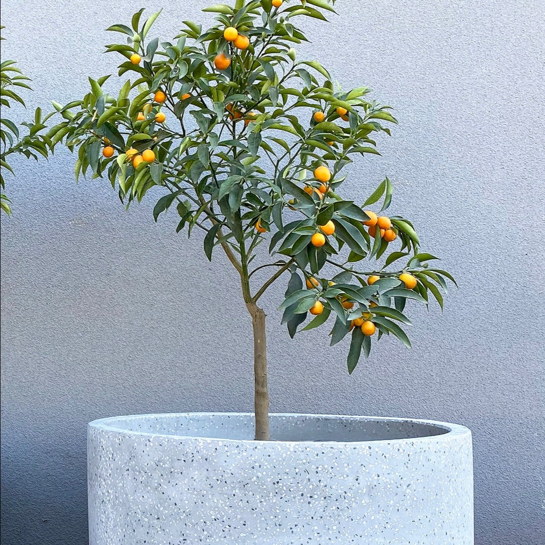 Macetero Flora Blanco Bi