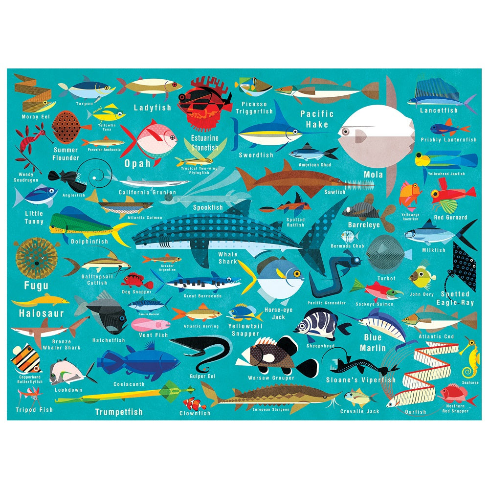 Puzzle 1000Pcs Vida Del Océano Mudpuppy