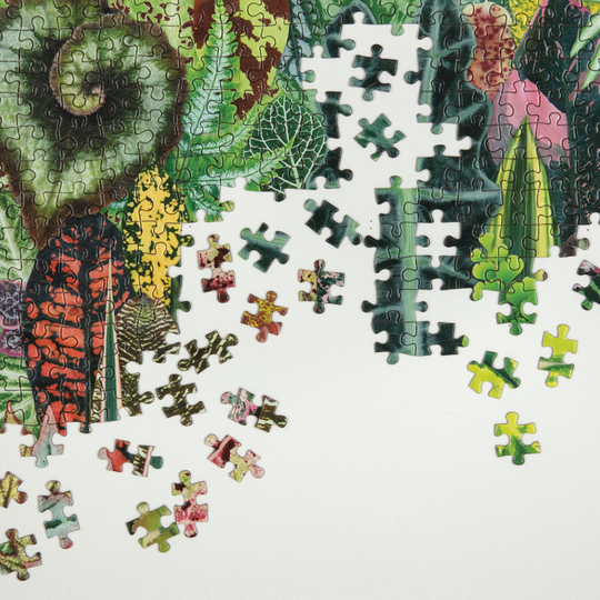 puzzle-1000pcs-houseplant-jungle