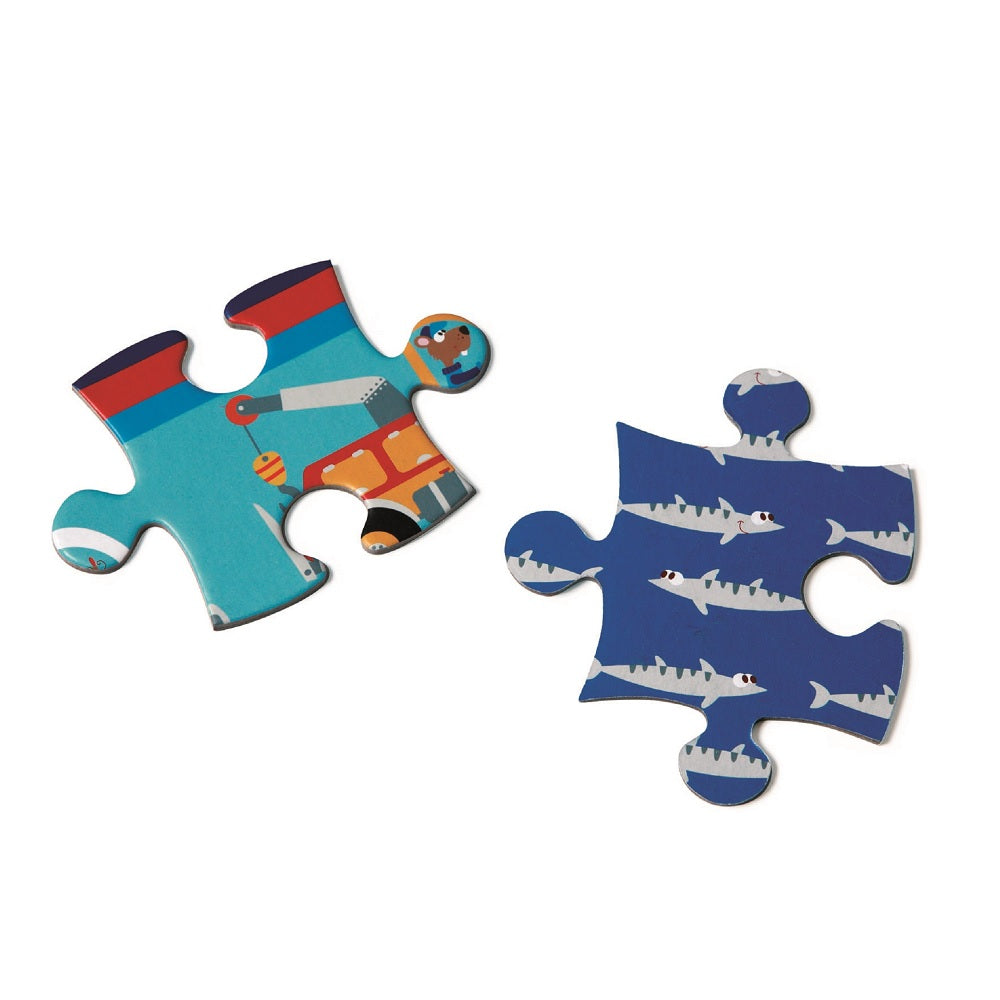 Puzzle 60 Cs, Ferry