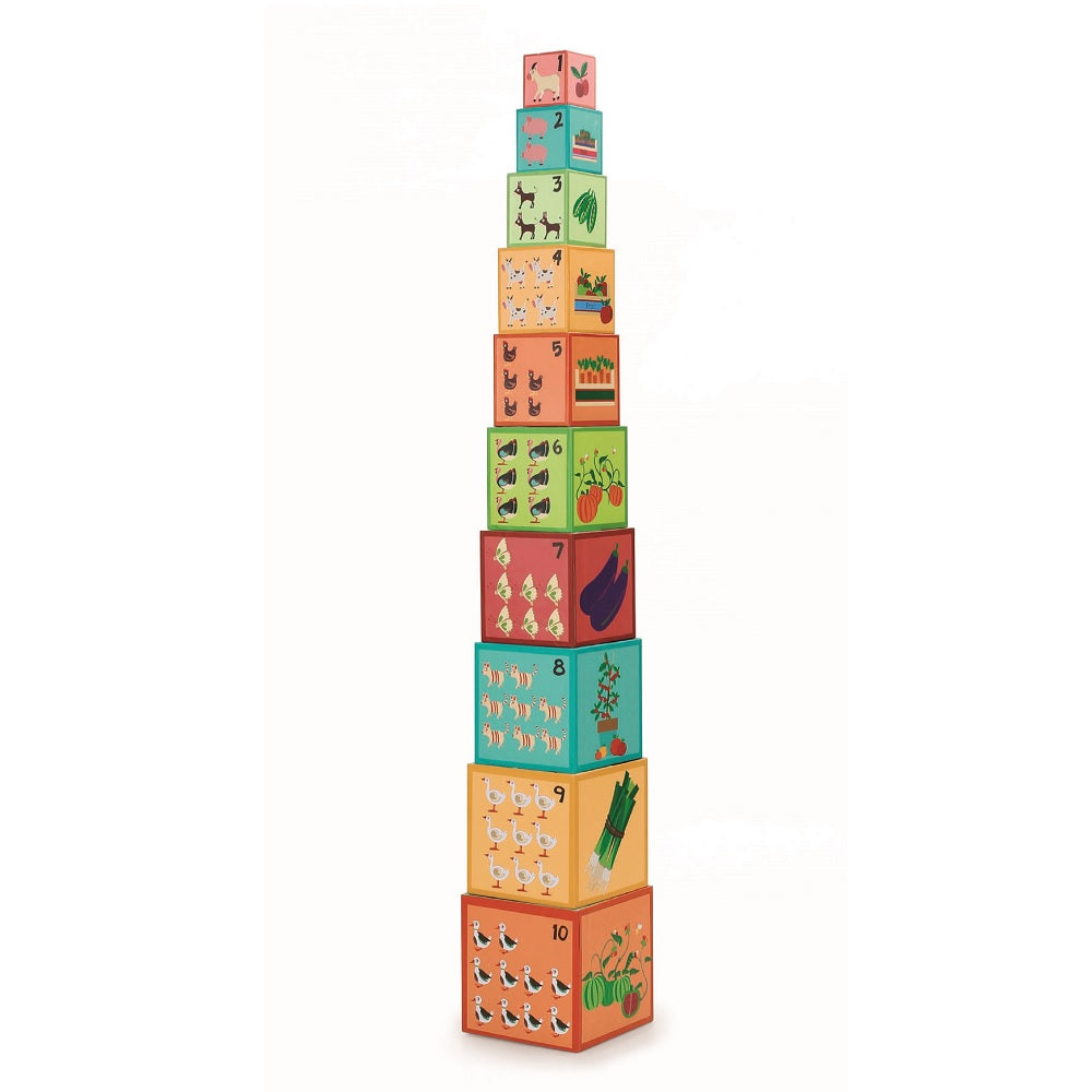 Set De 10Pcs Cubos Para Apilar La Granja Scratch Europe
