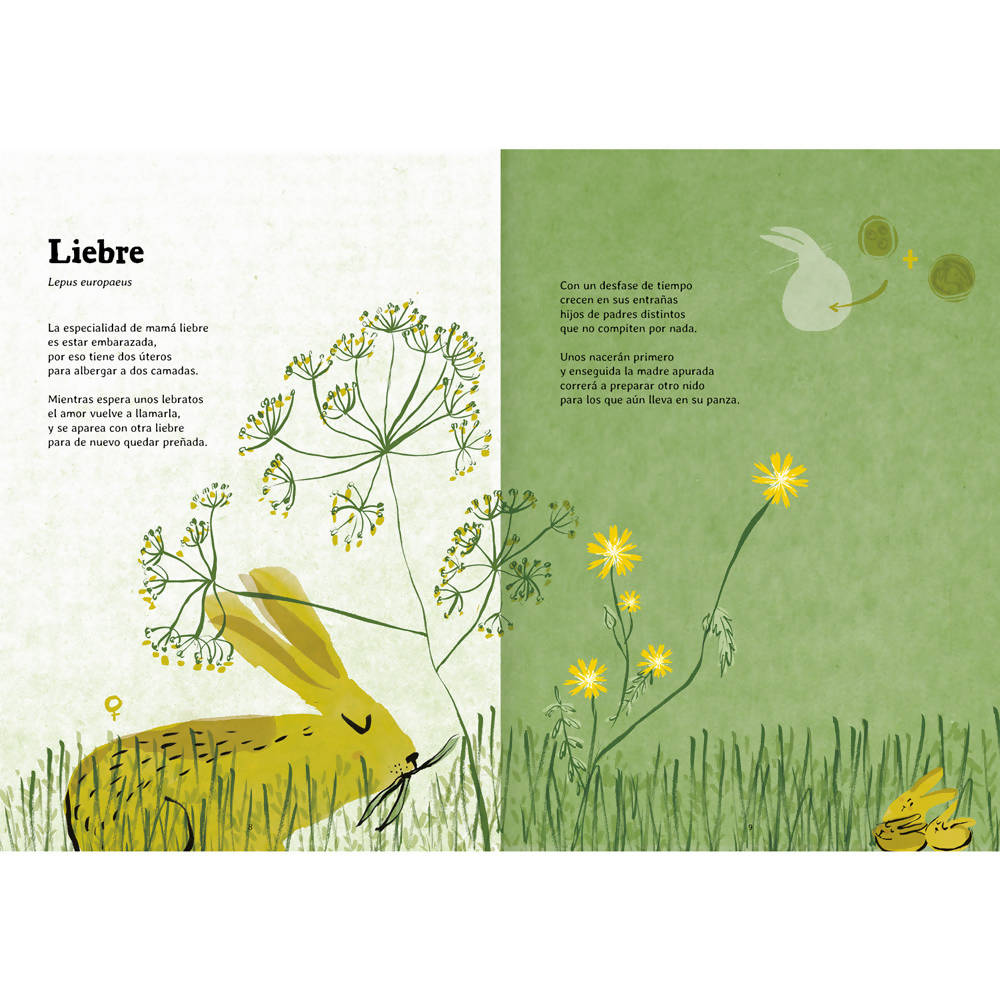 Libro Nacer Editorial Amanuta