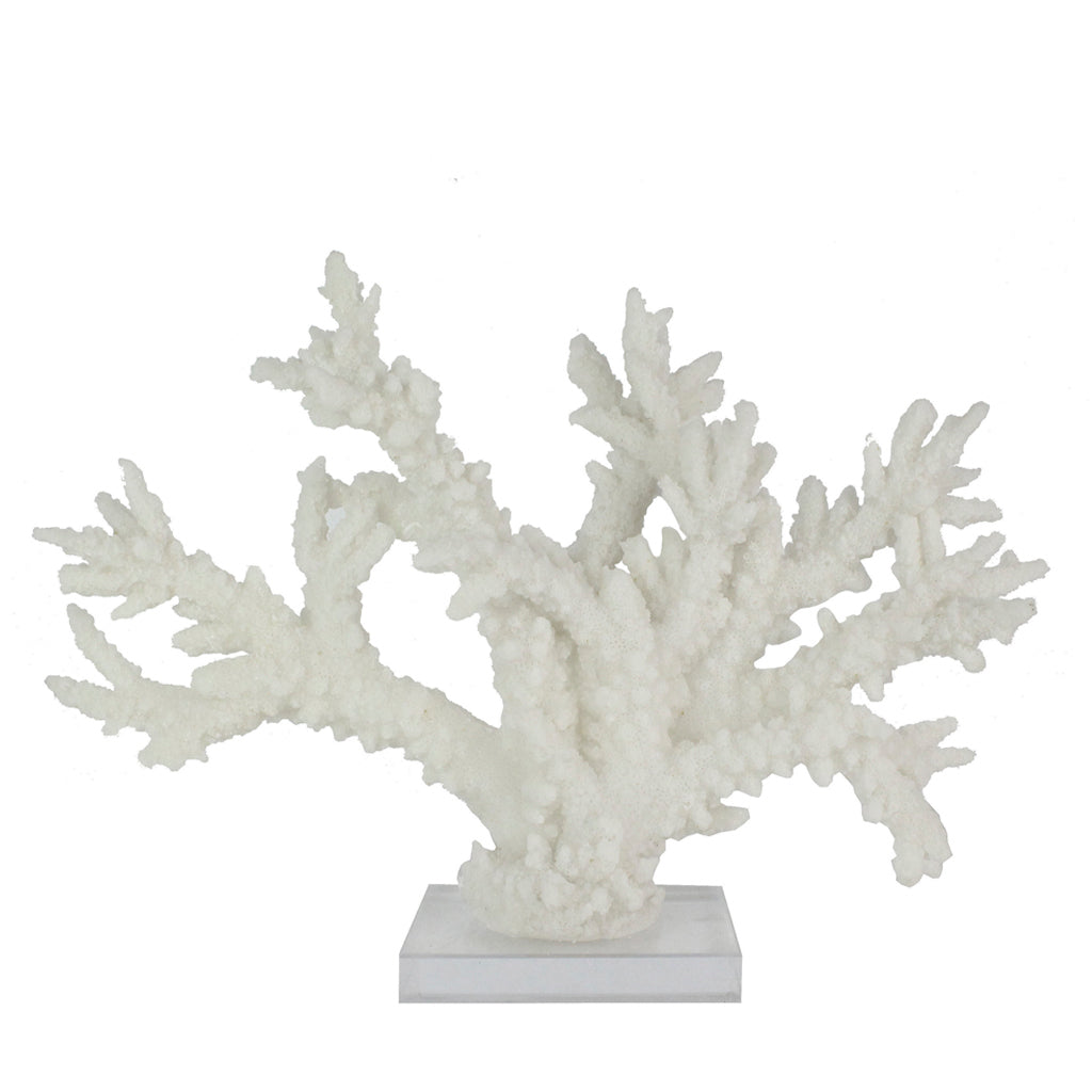 coral-blanco-off-en-base-acrílica-40-x-30-x-14-cms-city-andsea