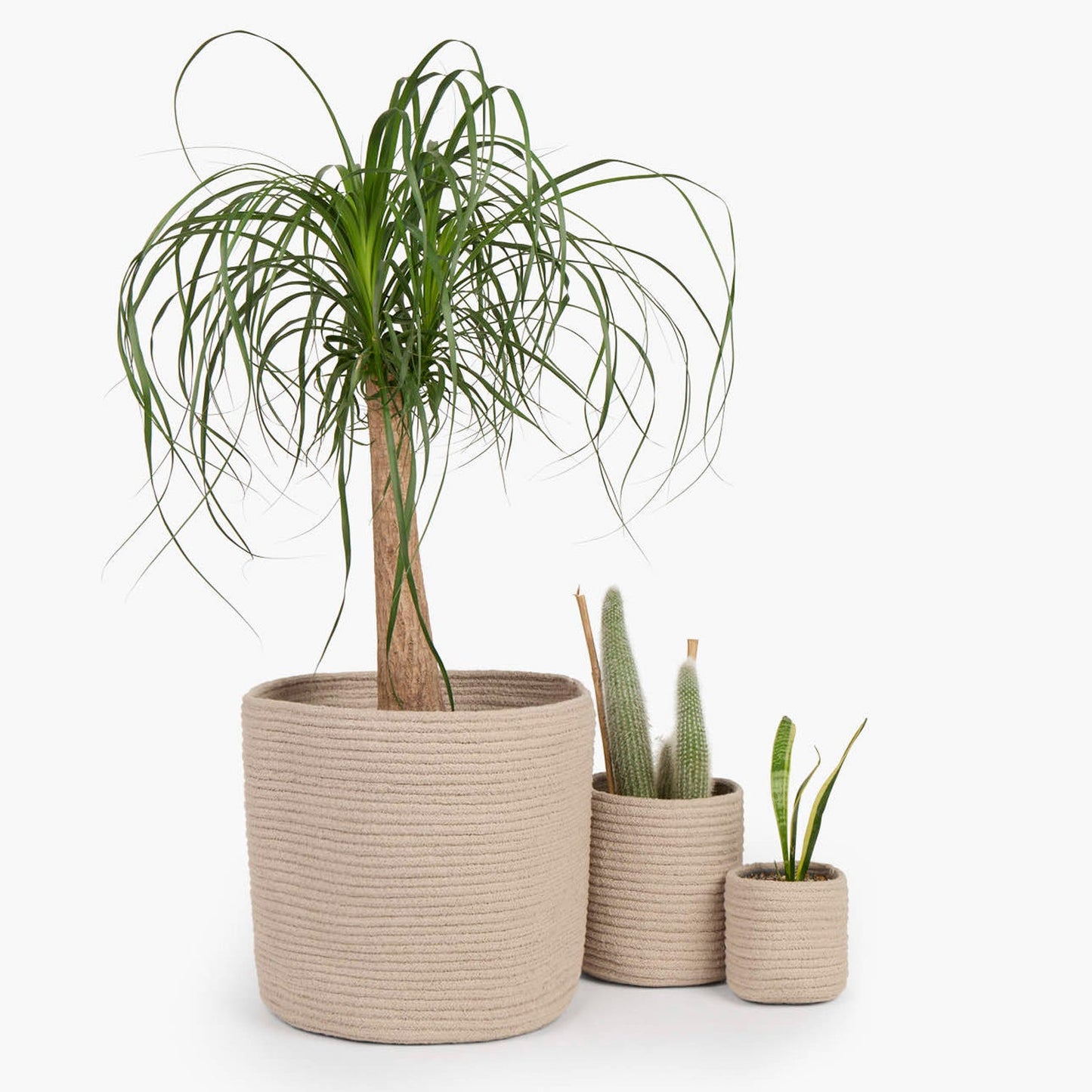 canasto-ayana-beige-m-calma-house