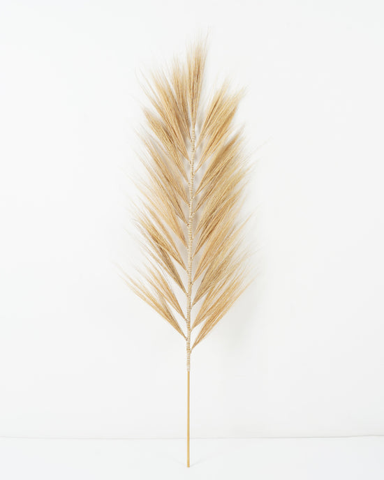 cola-de-zorro-natural-beige-110cms