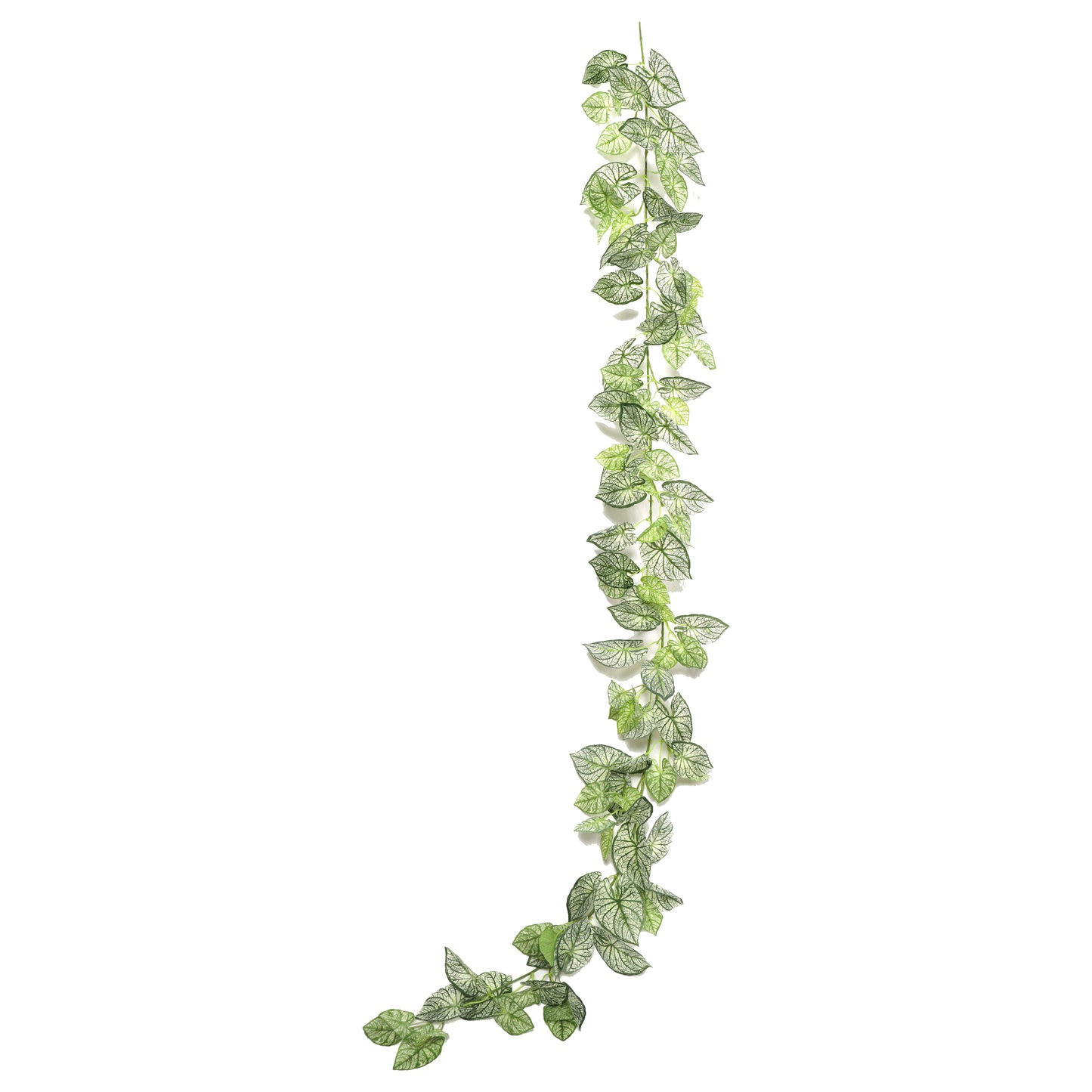 planta-colgante-taro-190-cm-con-filtro-uv