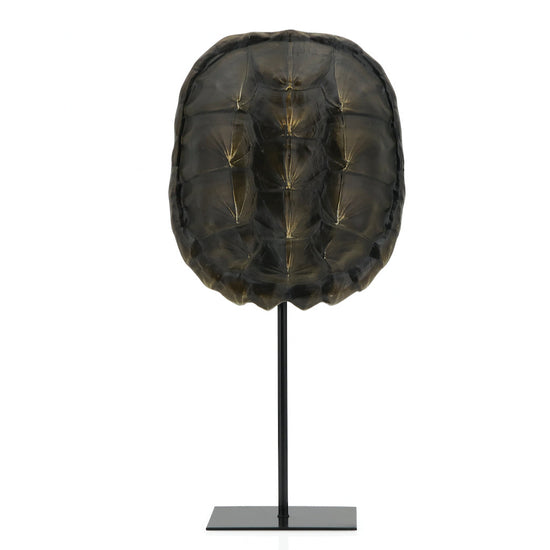 escultura-caparazón-de-tortuga-negro-20-x-10-x-40-cms-city-andsea