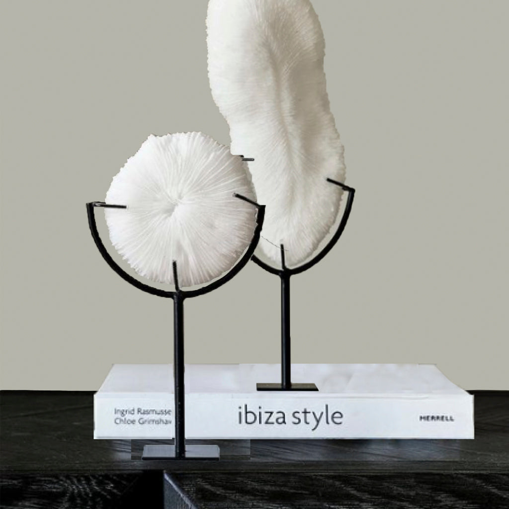 escultura-concha-larga-14-x-12-x-41-cms-city-andsea