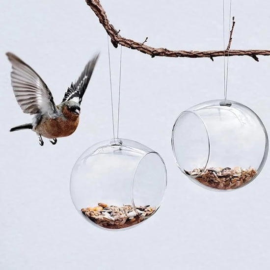 alimentador-de-aves-2pcs-eva-solo