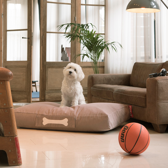 Cama de Perro Doggielounge Large Stonewash Blue Fatboy