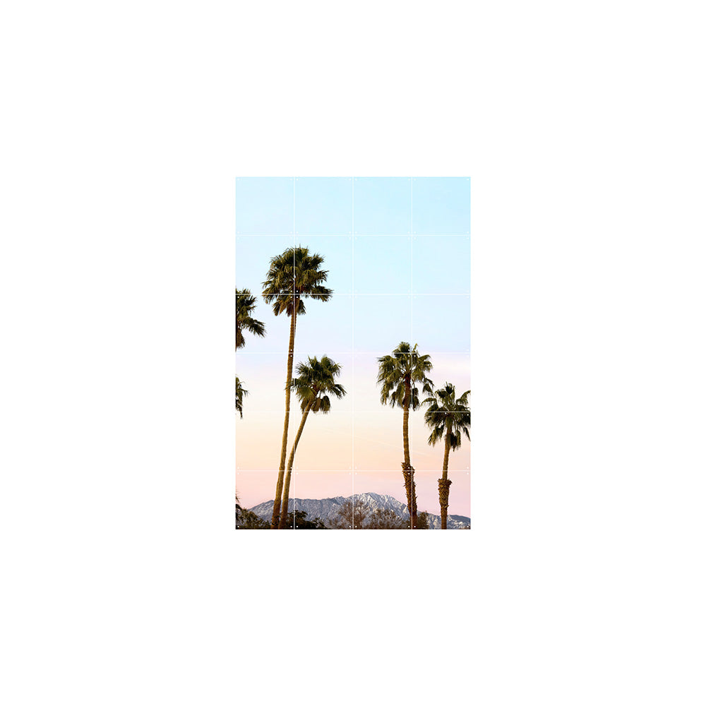 Mural Venice & Indio Palms Small Doble Cara IXXI