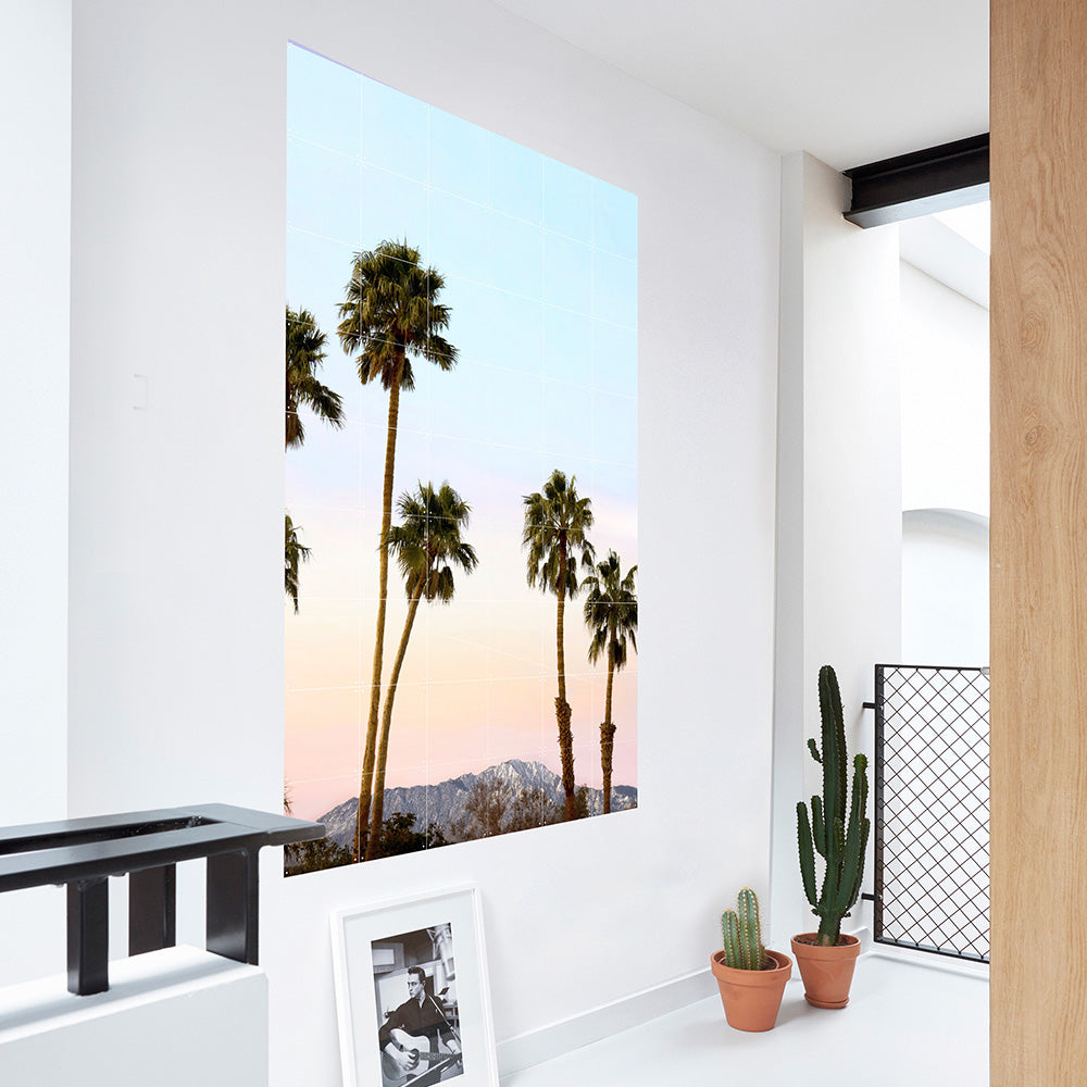 Mural Venice & Indio Palms Small Doble Cara IXXI