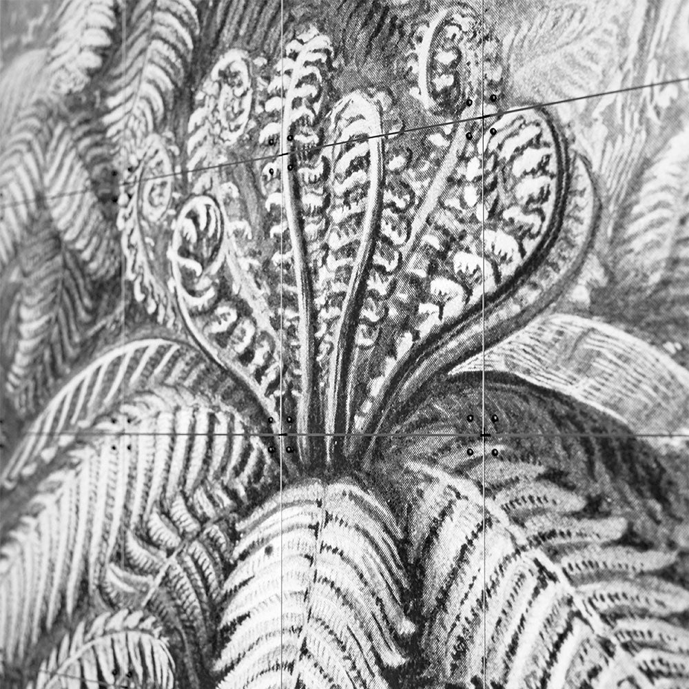 Cargar imagen en el visor de la galería, mural-ferns-small-ixxi
