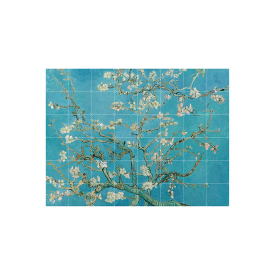 mural-ixxi-almond-blossom