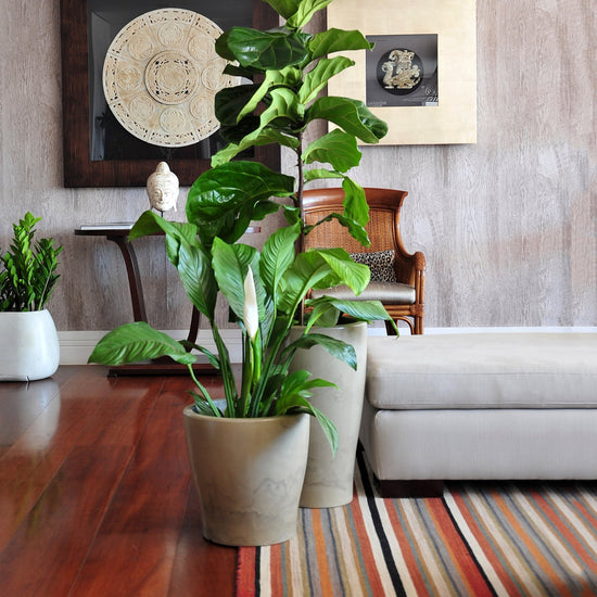 macetero-huasco-gris-oscuro-37-x-37-x-37-cm-form-design