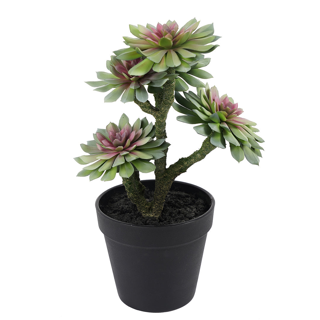 planta-decorativa-artificial-suculenta-verde-33-cm-green-element