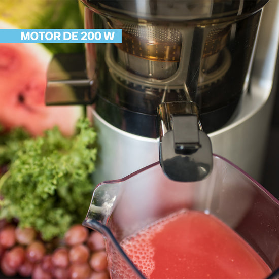 Prensadora de Jugo en Frío Slow Juicer Pro Easyways