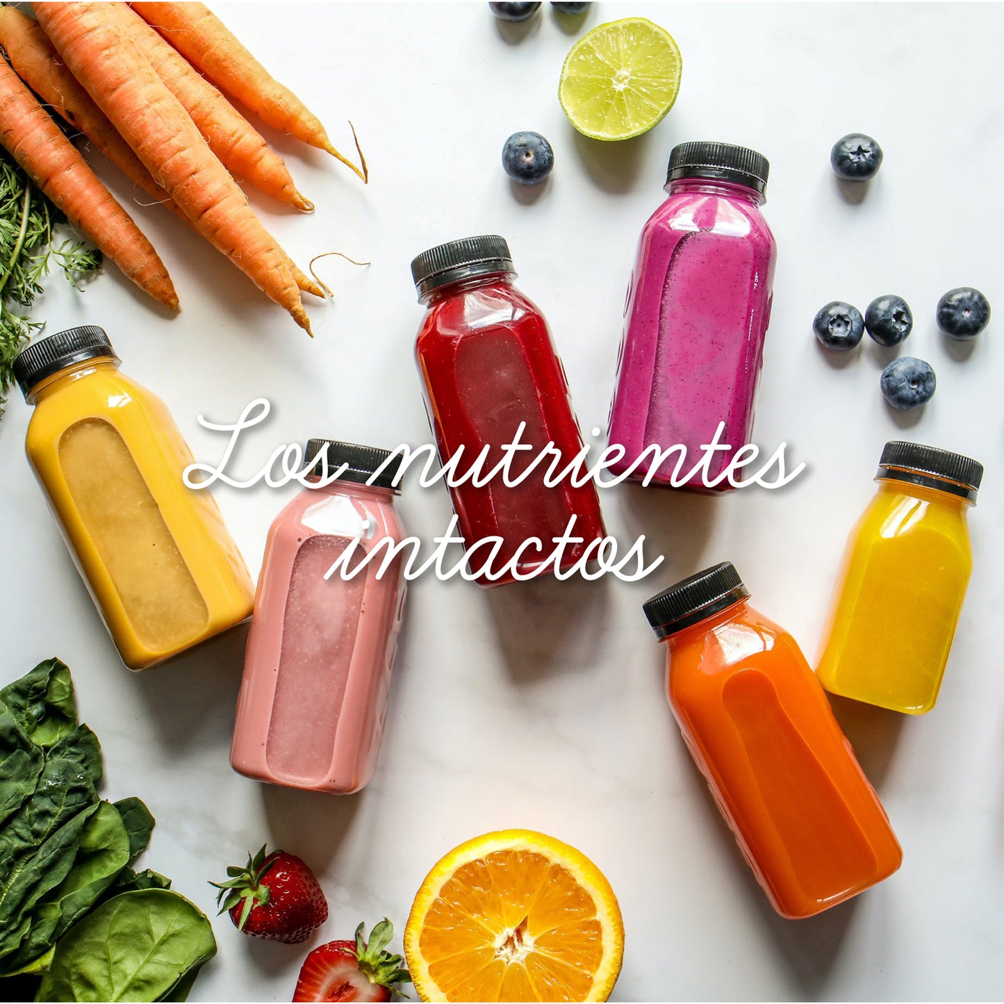 Prensadora de Jugo en Frío Slow Juicer Pro Easyways