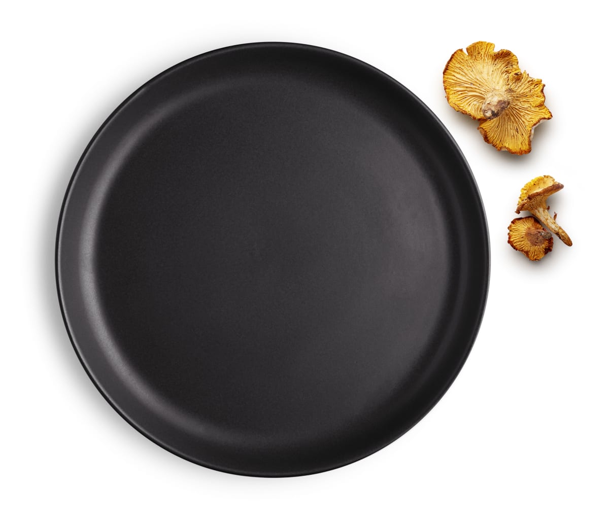 plato-cocina-nordica-o21cm-eva-solo