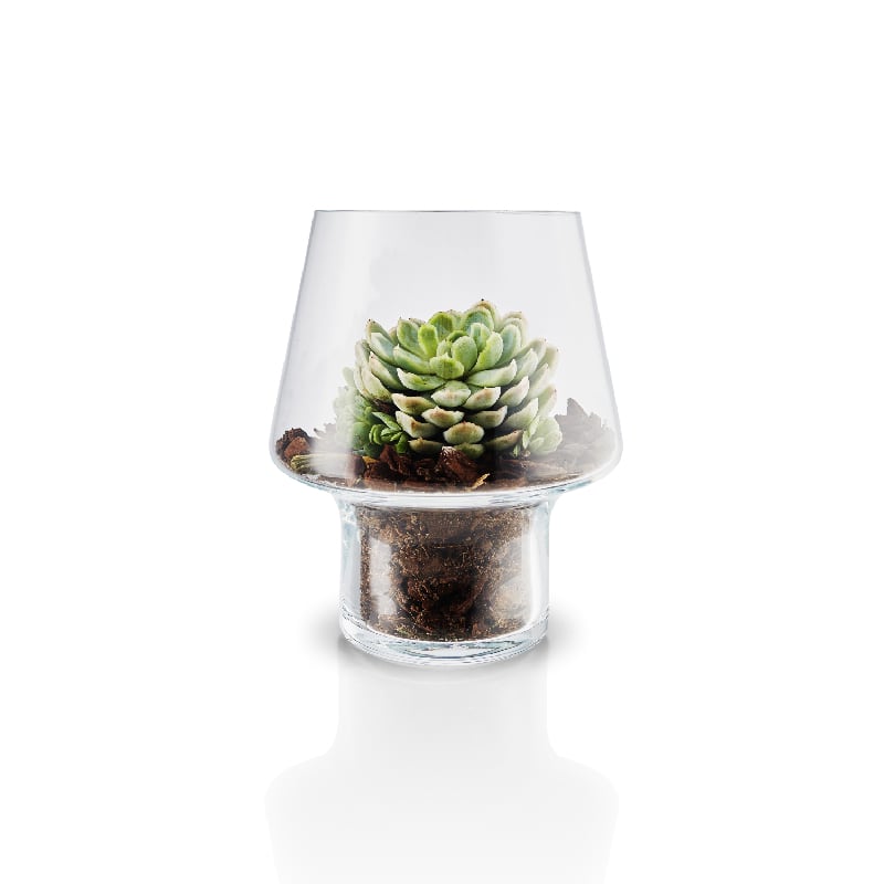 macetero-de-cristal-para-suculenta-o15cm-eva-solo