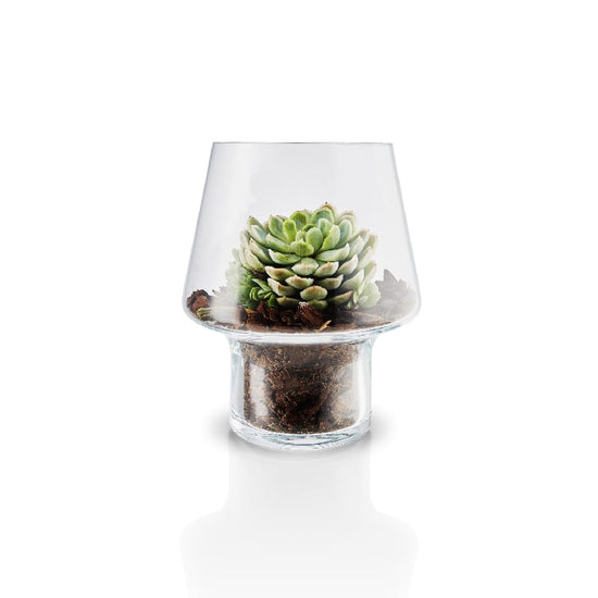 macetero-de-cristal-para-suculenta-o15cm-eva-solo