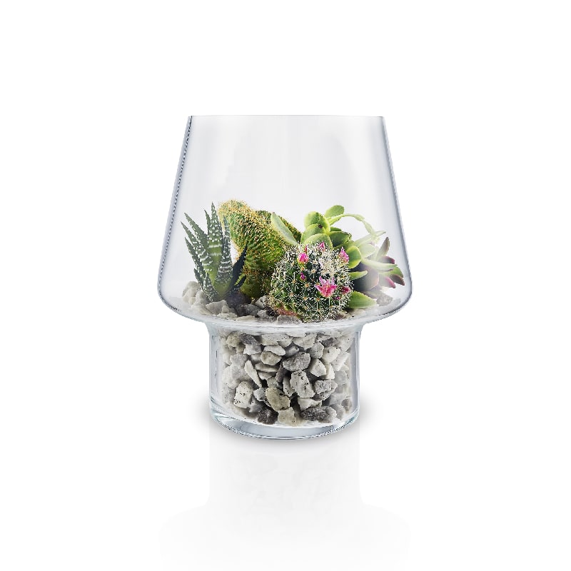macetero-de-cristal-para-suculenta-o15cm-eva-solo