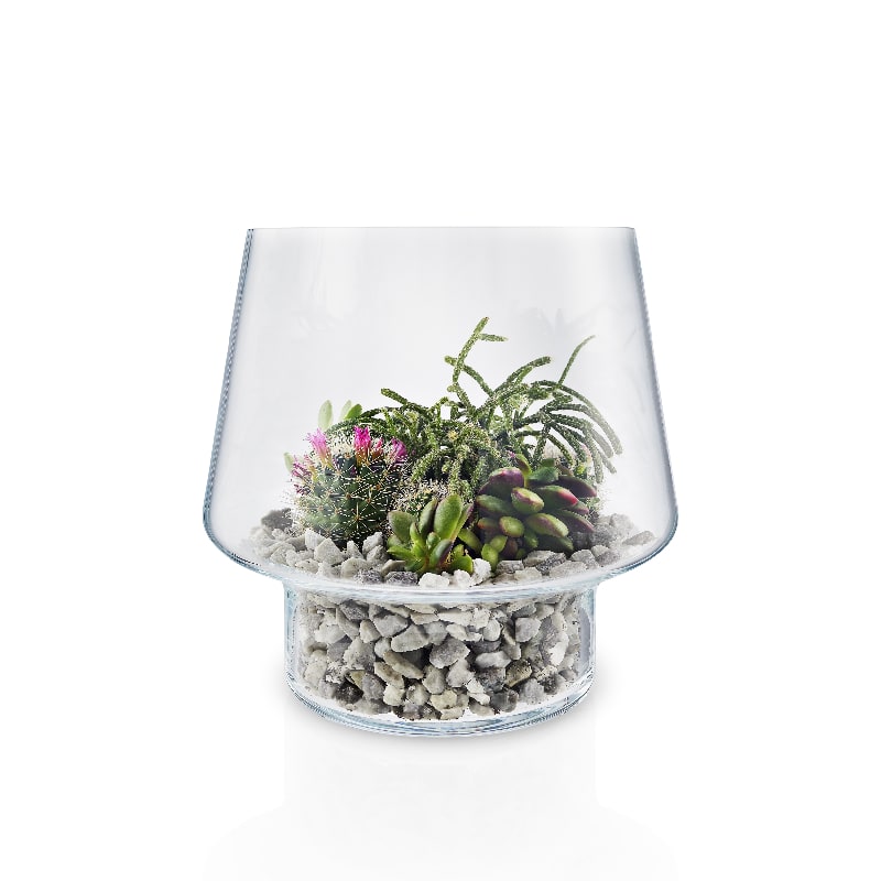 macetero-de-cristal-para-suculenta-o21cm-eva-solo