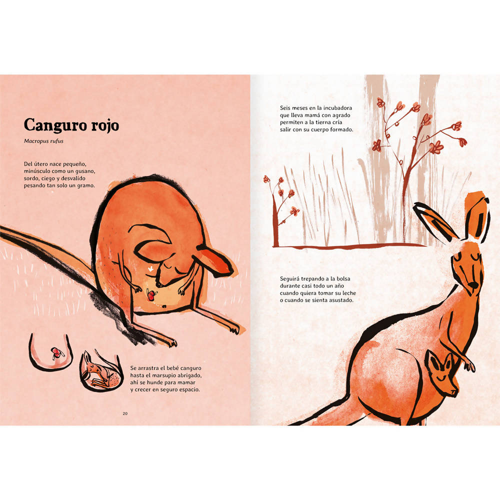 Libro Nacer Editorial Amanuta