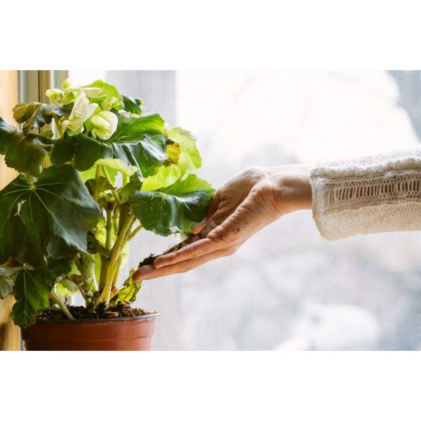 Reciclador de Alimentos y Residuos Orgánicos FoodCycler