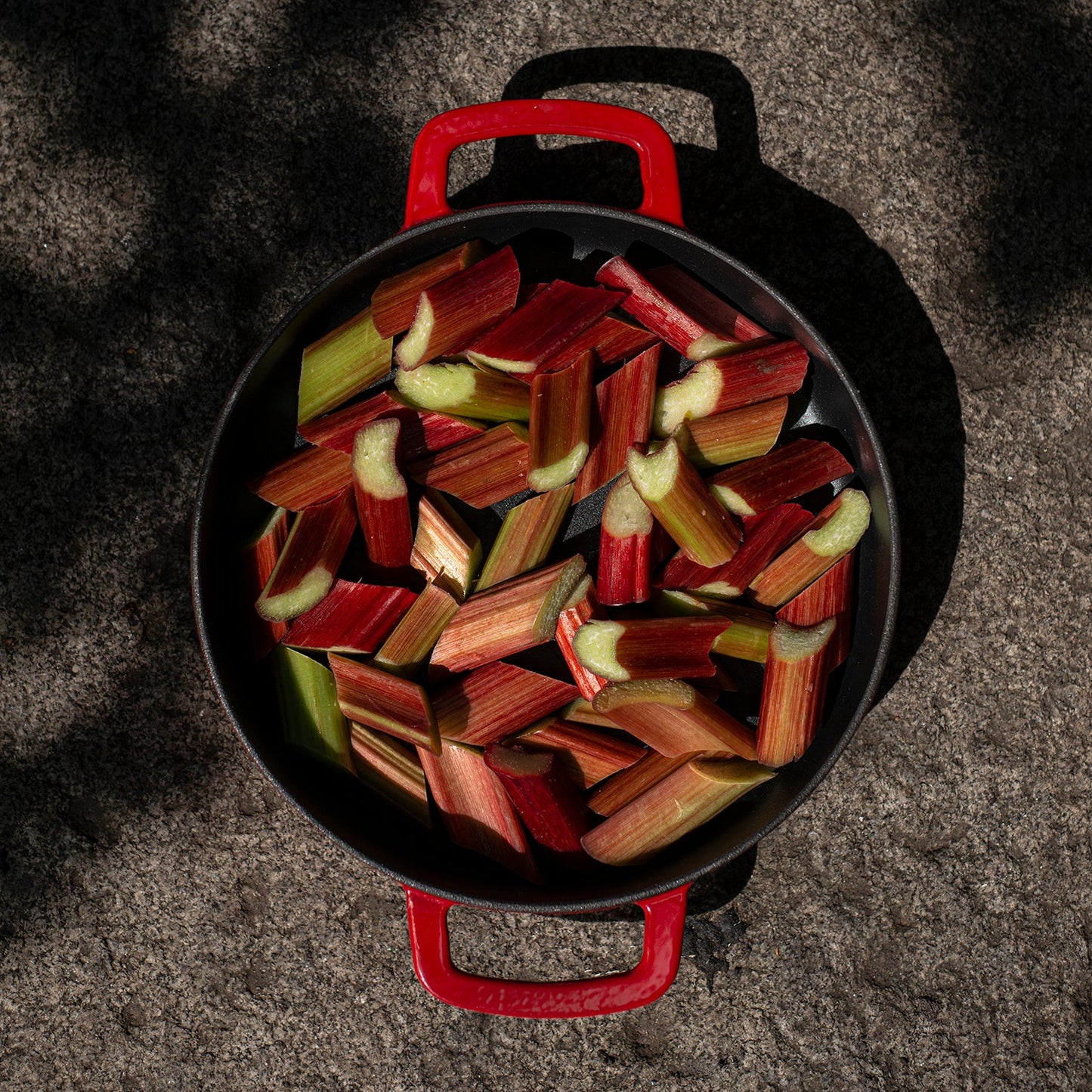 Sarten hierro fundido reciclado 28CM Red Combekk