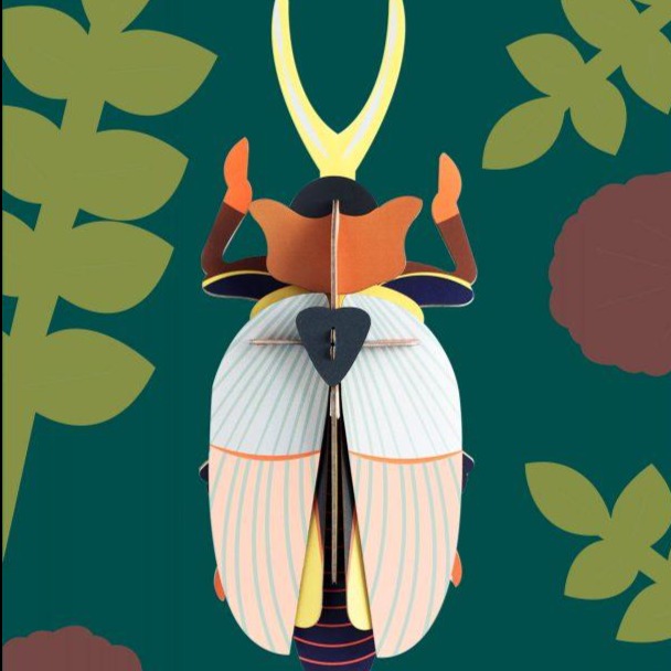 Insecto Grande Rhinoceros beetle Studio Roof