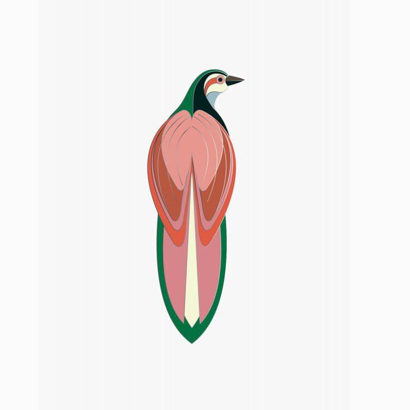 pin-rani-bird-studio-roof