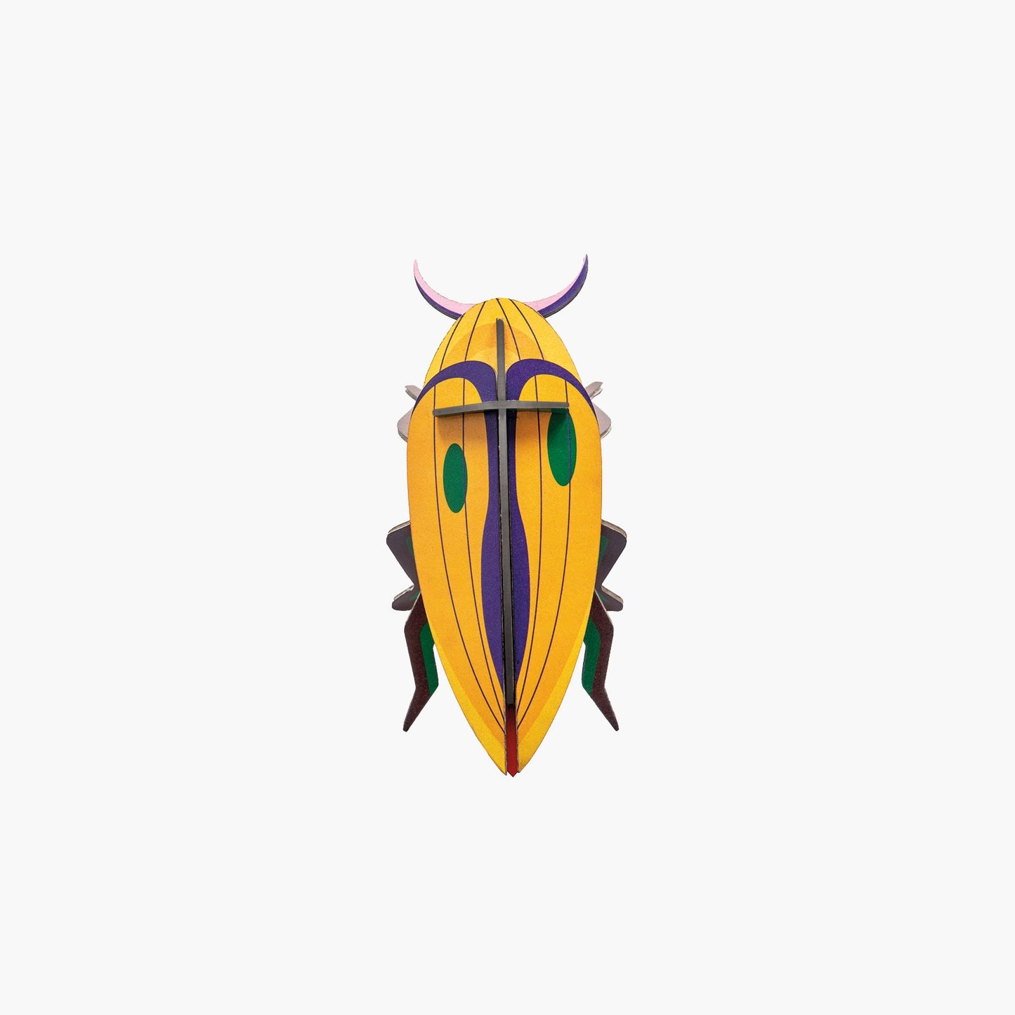 pequeno-insecto-click-beetle-studio-roof