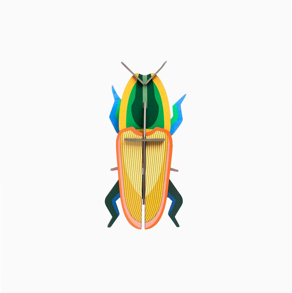 Pequeño Insecto Madagascar Beetle Studio Roof