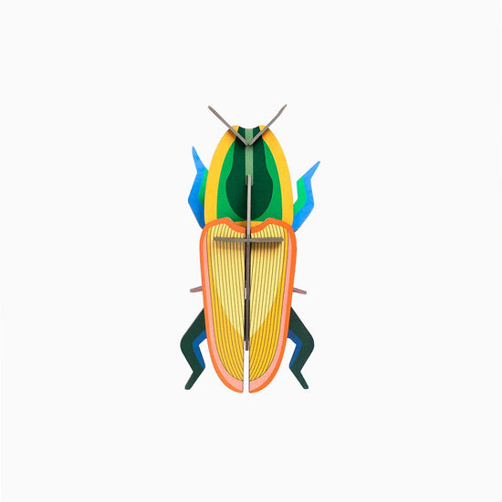 Cargar imagen en el visor de la galería, Pequeño Insecto Madagascar Beetle Studio Roof
